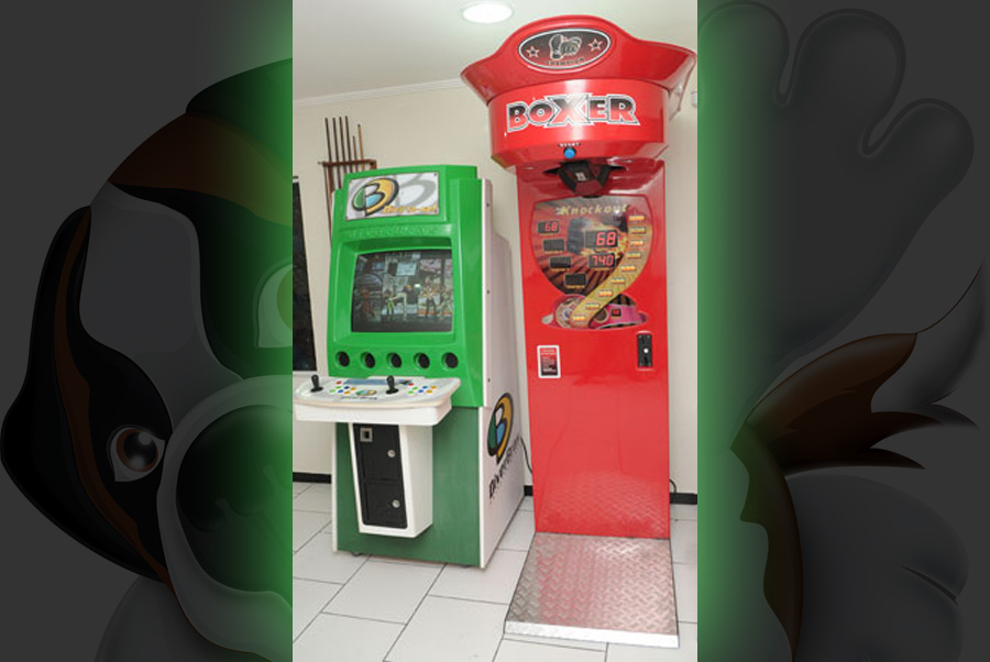GAMER LUTA E BOXER