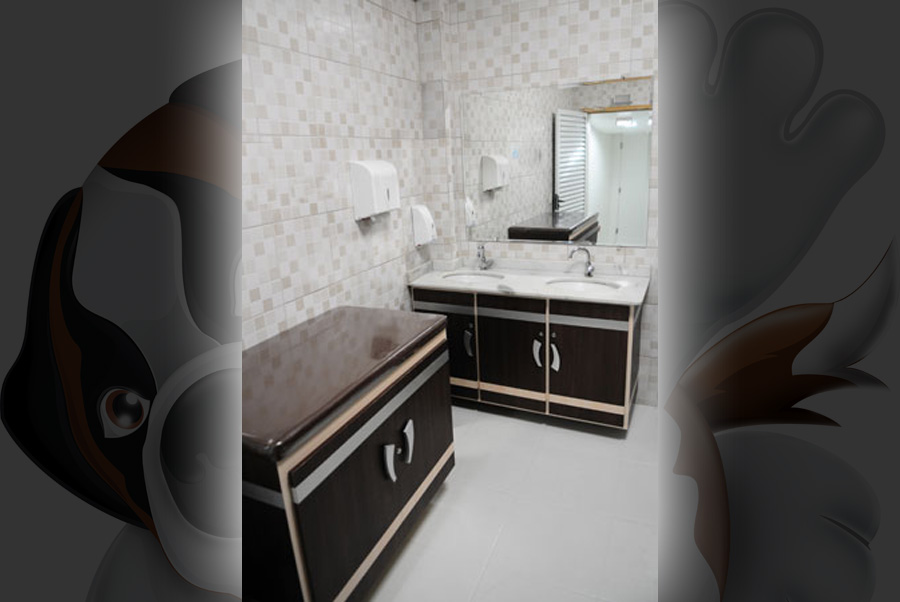 TOILETTE FEMININO